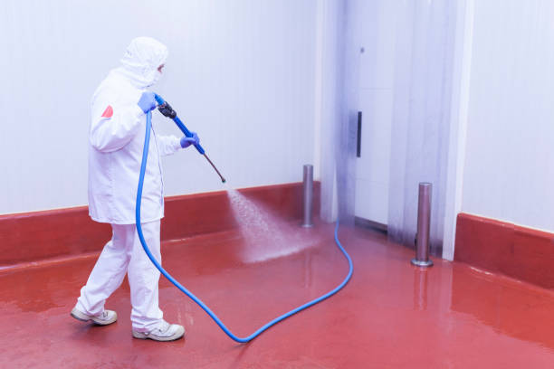 Best Solar Panel Cleaning  in Farragut, TN